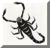 scorpion.gif (209654 bytes)